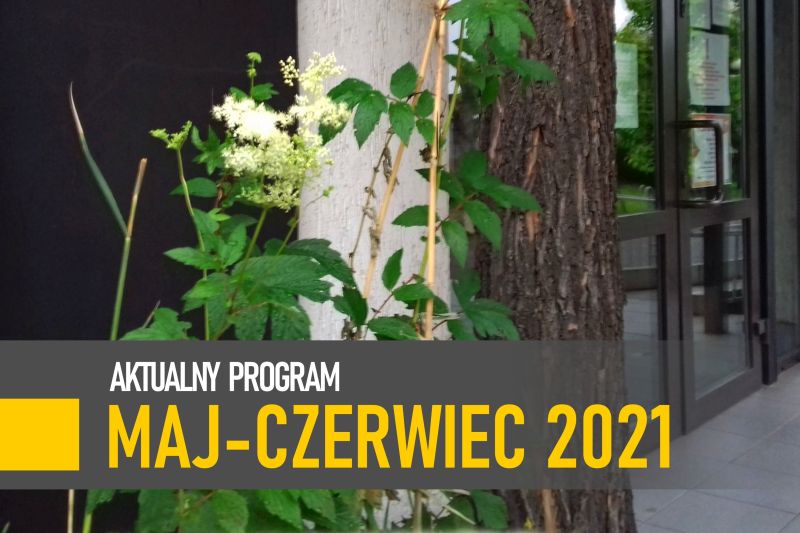 zielona roslina z białym kwiatem na tle budyknu MOKSiR