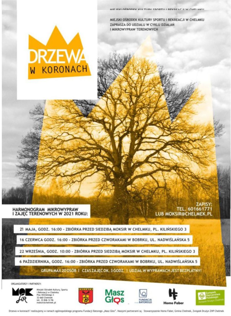 drzewa w koronach plakat