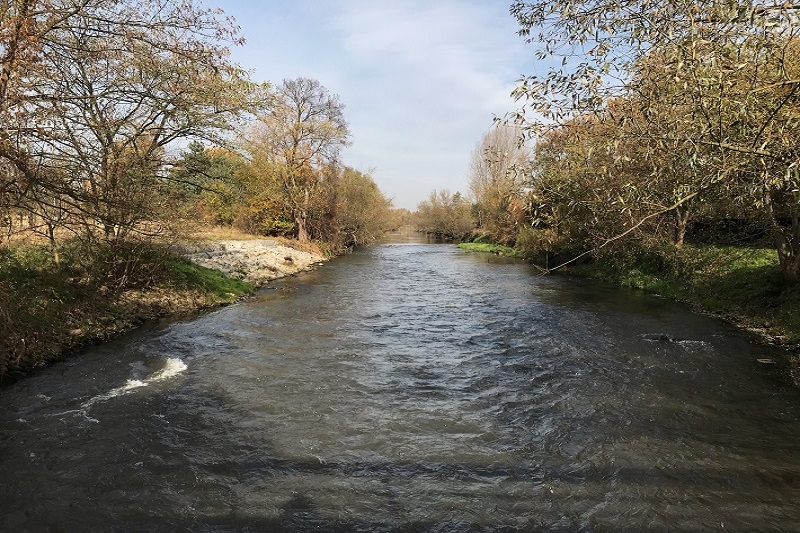 widok na rzekę