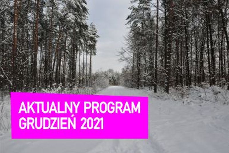 aktualny program modul 12 21