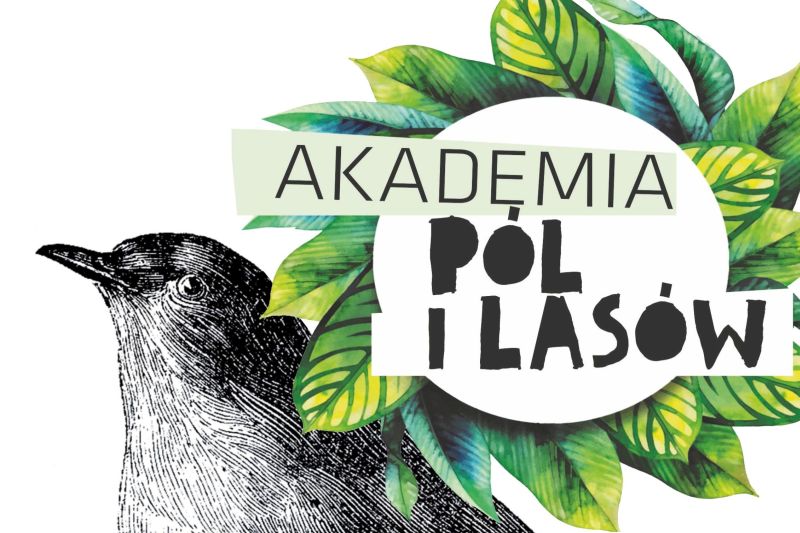 akademia pol i lasow kus modul 06 22