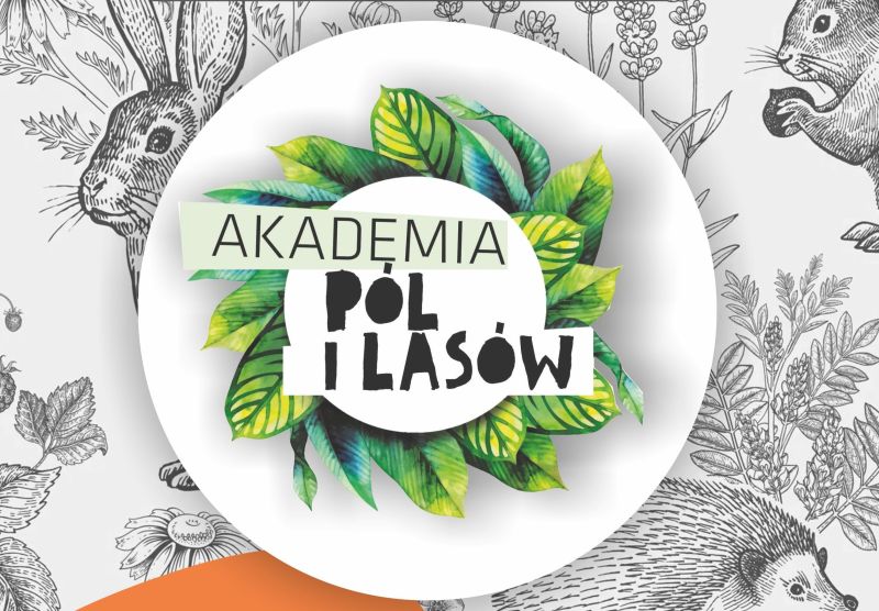 akademia pol i lasow modul 08 22