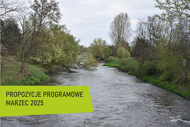 propozycje programowe marzec 2025 male