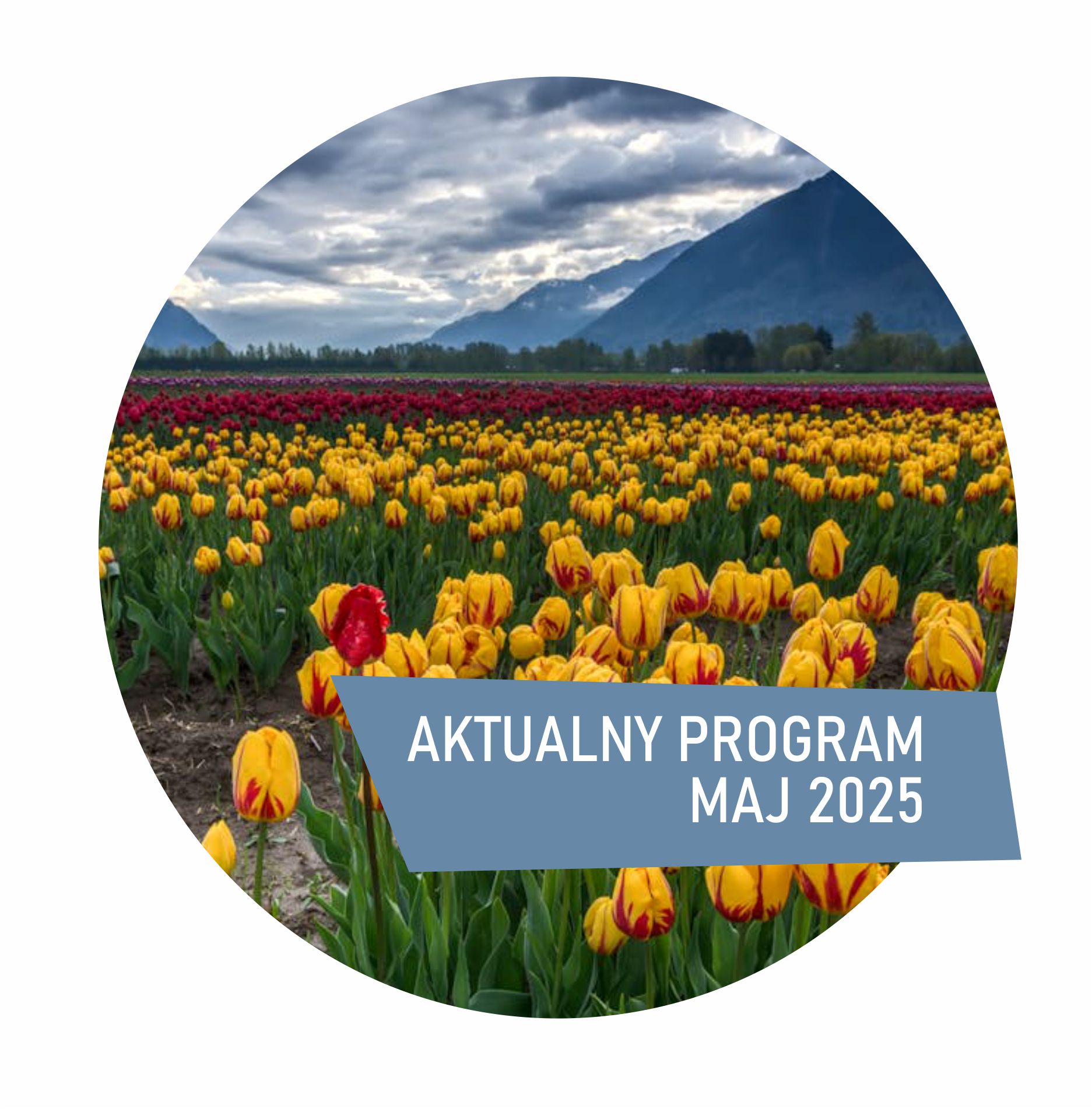 kolko kwiecień 2025