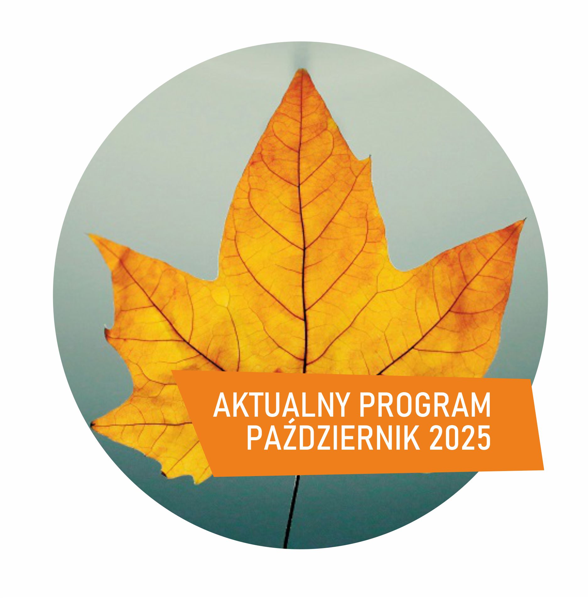 Kolko 2025 pazdziernik