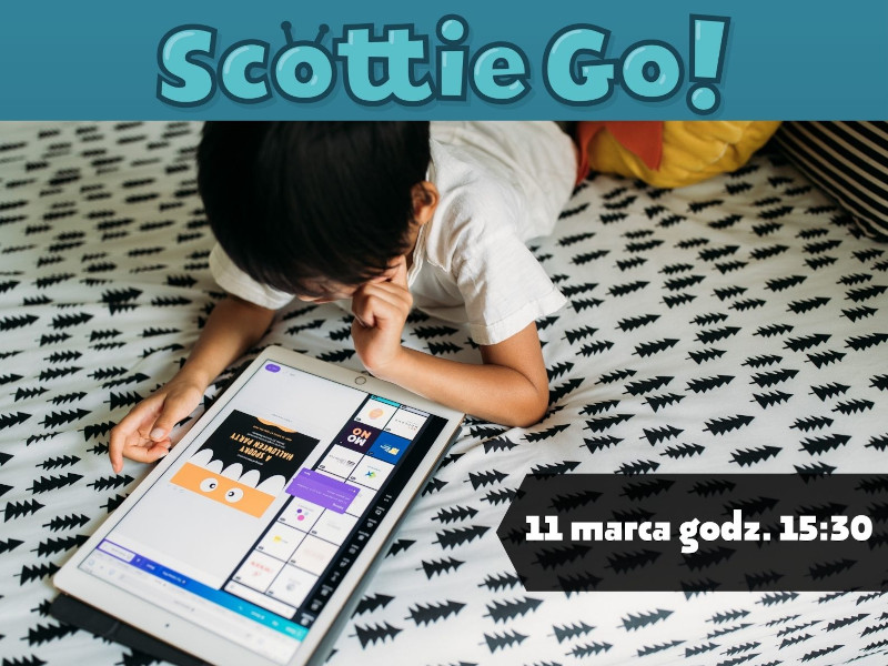 scottie m