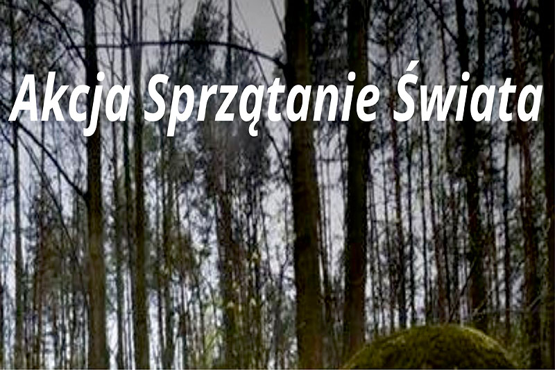 sprzatanie swiata baner maly